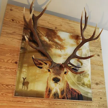 Wilderer 아파트 마리아젤