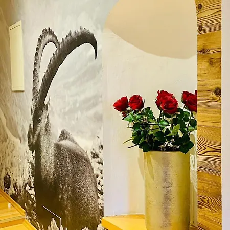 Wilderer 마리아젤