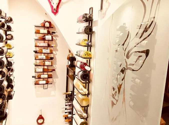 Wilderer Apartment *